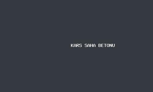 Kars saha betonu